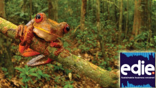 We take a virtual-reality tour of the Amazon rainforest to discuss SC Johnson's plan to protect 10,000 acres of land through consumer engagement. Photo: Trond Larsen